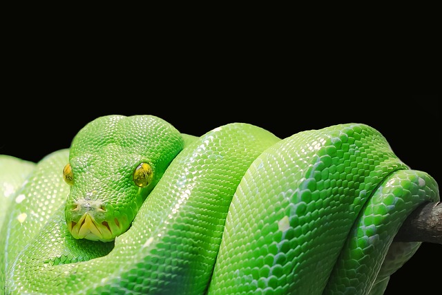 Czy Python dobry na początek? Czy Python dobry na początek?
