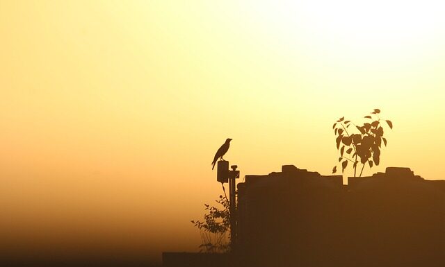 Do czego może doprowadzić nadmierne picie soków?