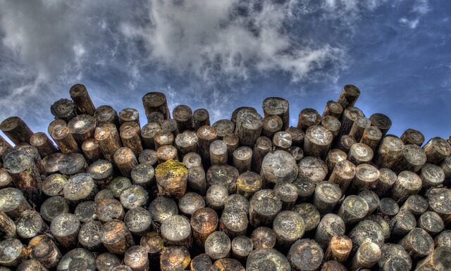 Czy bezpieczne jest logowanie na konto bankowe przez telefon?