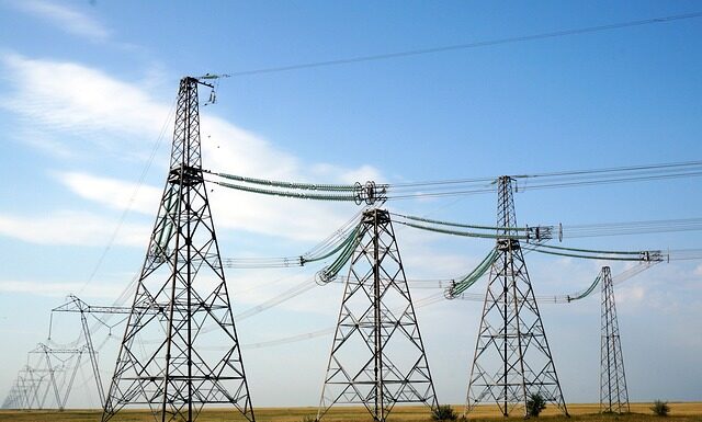 Jakie organy niszczą energetyki?