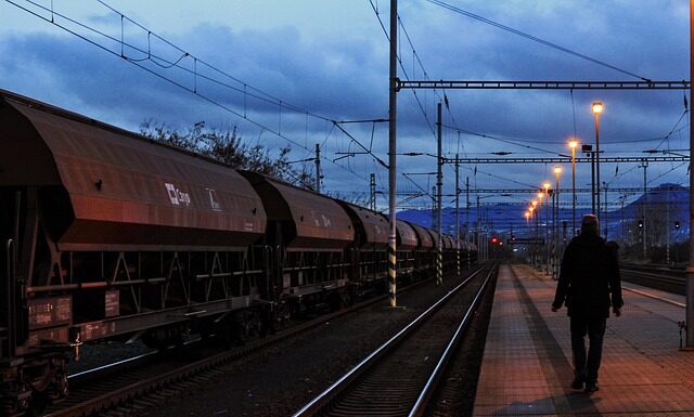 Jak szkolić upartego psa?