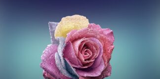 Czy roczne dziecko może jeść płatki kukurydziane?