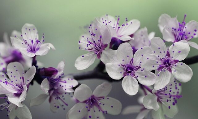 Jak głęboko słupki pod siatkę leśną?