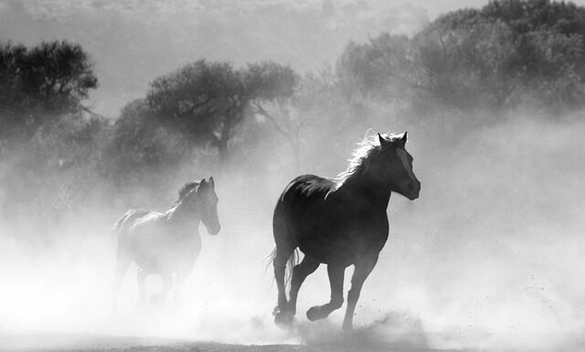 Czym najtaniej palić w kominku?