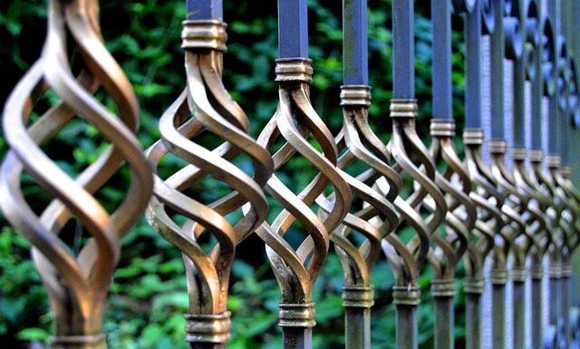 Co posadzić wzdłuż płotu?