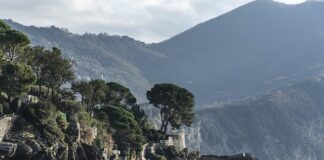 Ile kosztuje wosk pszczeli w skupie? Ile kosztuje wosk pszczeli w skupie?