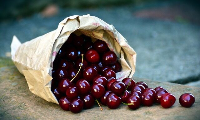 Kiedy zbierać nasiona drzew?