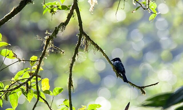 Kto dokonuje przeglądu drabin?