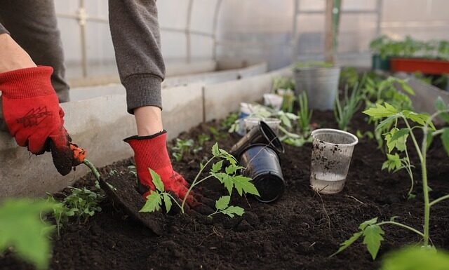 Jaka drabina do ogrodu?