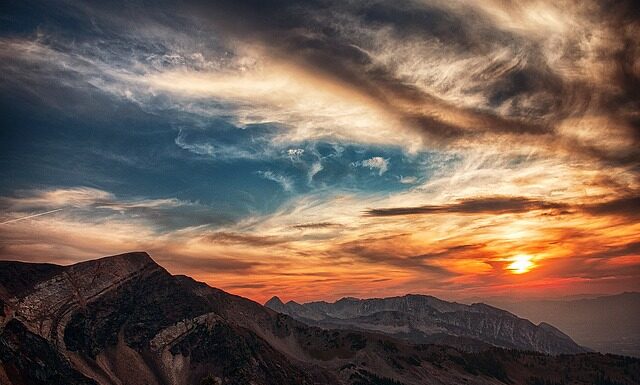 O której godzinie wychodzą dziki?