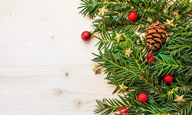 Co lepsze jodła czy świerk?