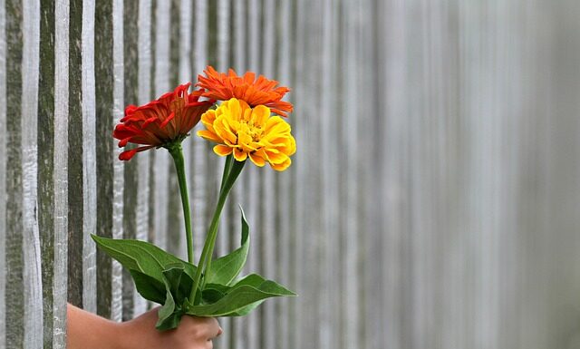 Ile kosztuje wykonanie ogrodzenia z siatki?