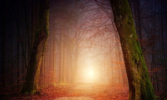 Jak nauczyć się chodzić na drabinie?