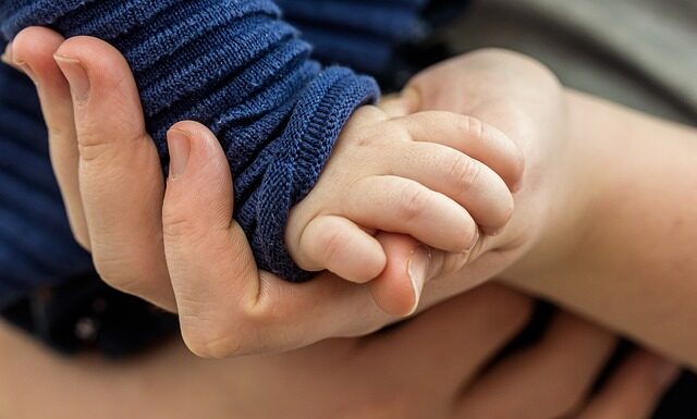 Jak połączyć dwie siatki ogrodzeniowe?