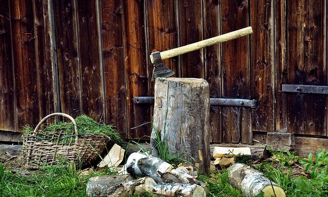 Ile biorą za rąbanie drzewa za metr?