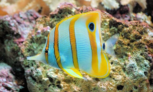 Ile waży 1 metr drutu miedzianego?