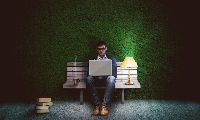 Z czego zrobić żywopłot iglasty? Z czego zrobić żywopłot iglasty?