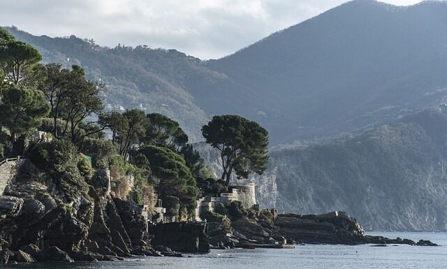 Ile kosztuje 1 kubik dębu?