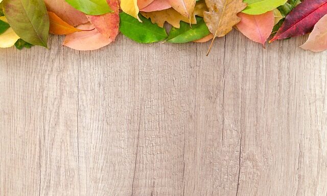 Co posadzić na granicy działki?