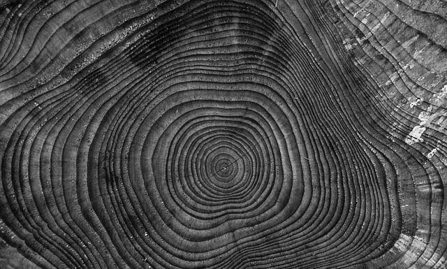 Kiedy najlepiej rąbać drewno?