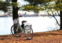 polski producent rowerów