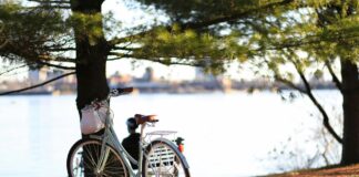 polski producent rowerów