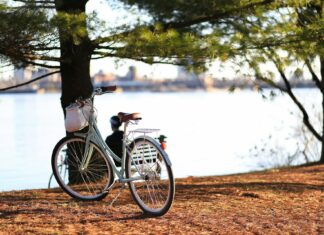 polski producent rowerów