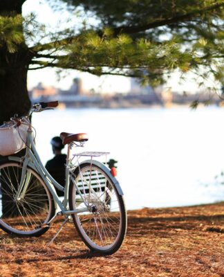 RoyalBi jako polski producent rowerów: miejski cruiser bez nadmiaru komplikacji polski producent rowerów