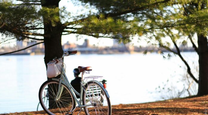 polski producent rowerów